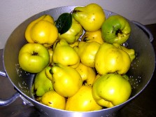 Coings d'Alsace ...